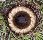 Large sprinkler ring, cast concrete, painted four colors